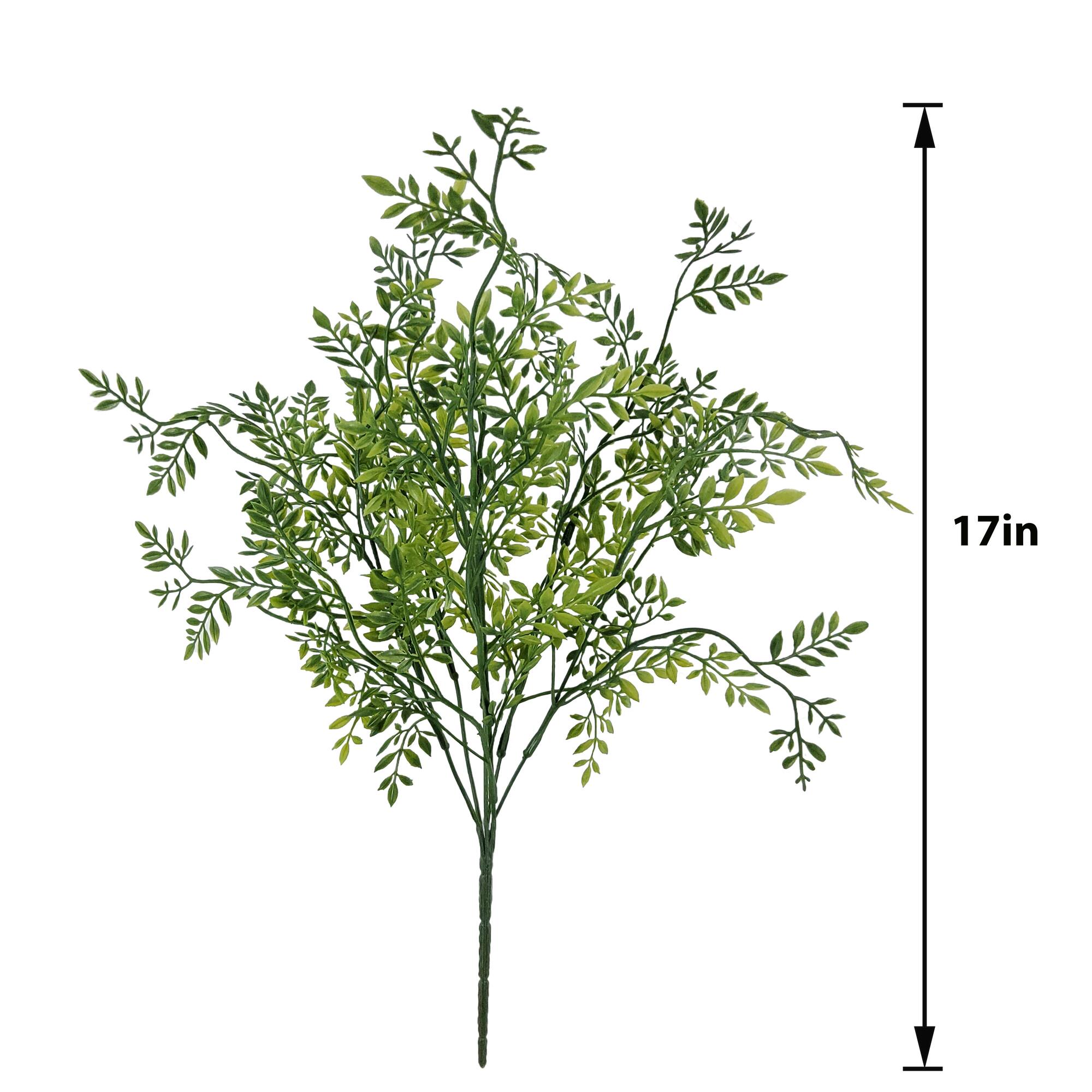 17" Green Ficus Bush by Ashland®